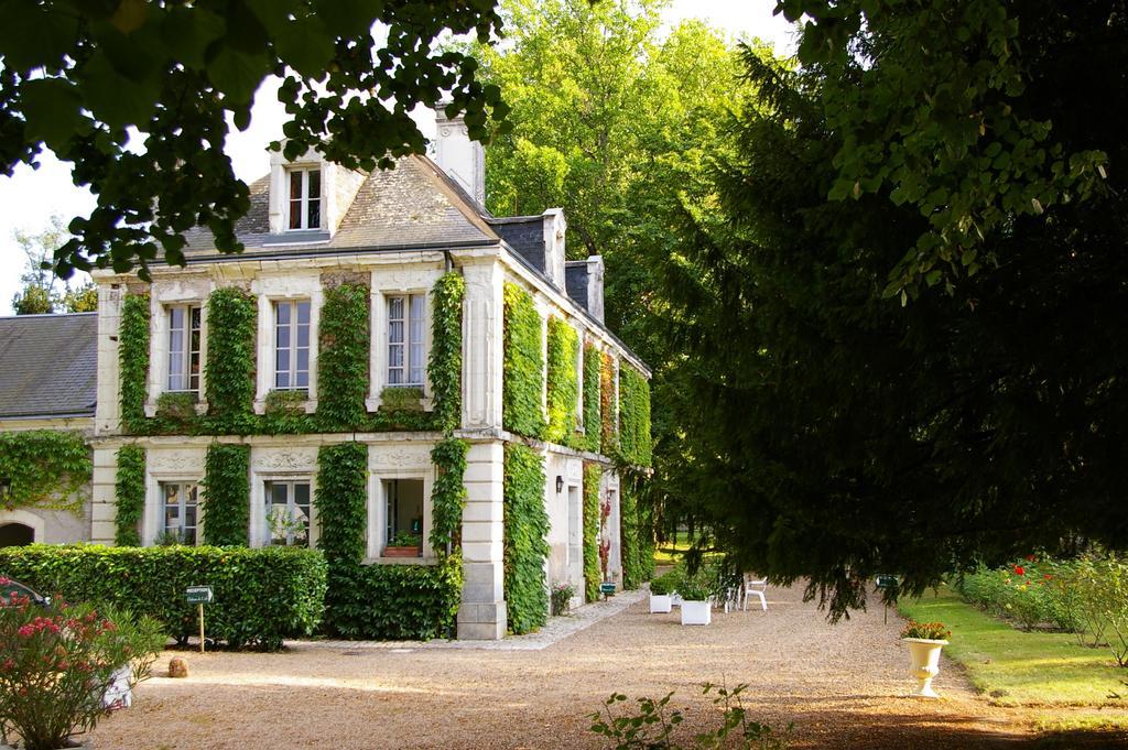 Hostellerie Du Chateau De L'Isle La Croix-en-Touraine Phòng bức ảnh